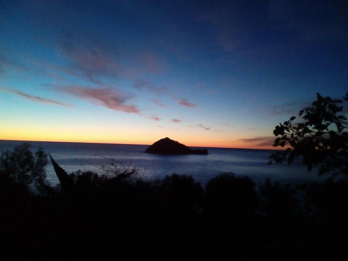 Mare